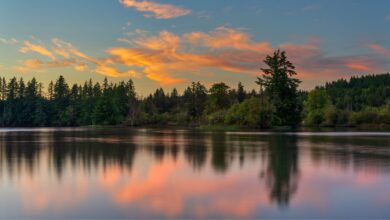 Why Gun Lake Beach Makes a Great Weekend Getaway
