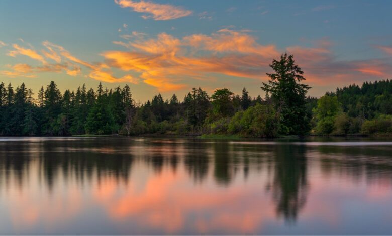 Why Gun Lake Beach Makes a Great Weekend Getaway